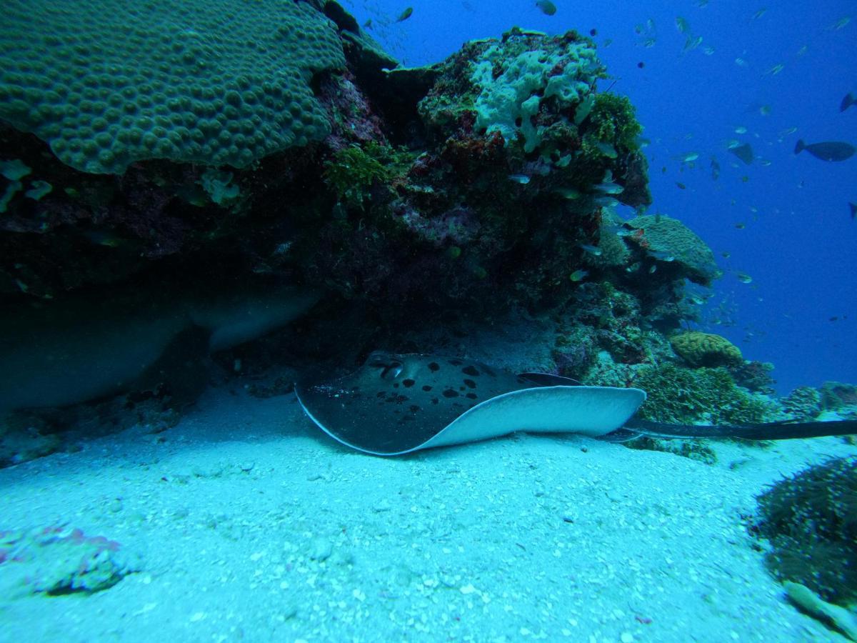 Hangnaameedhoo Coral Beach Maldives מראה חיצוני תמונה