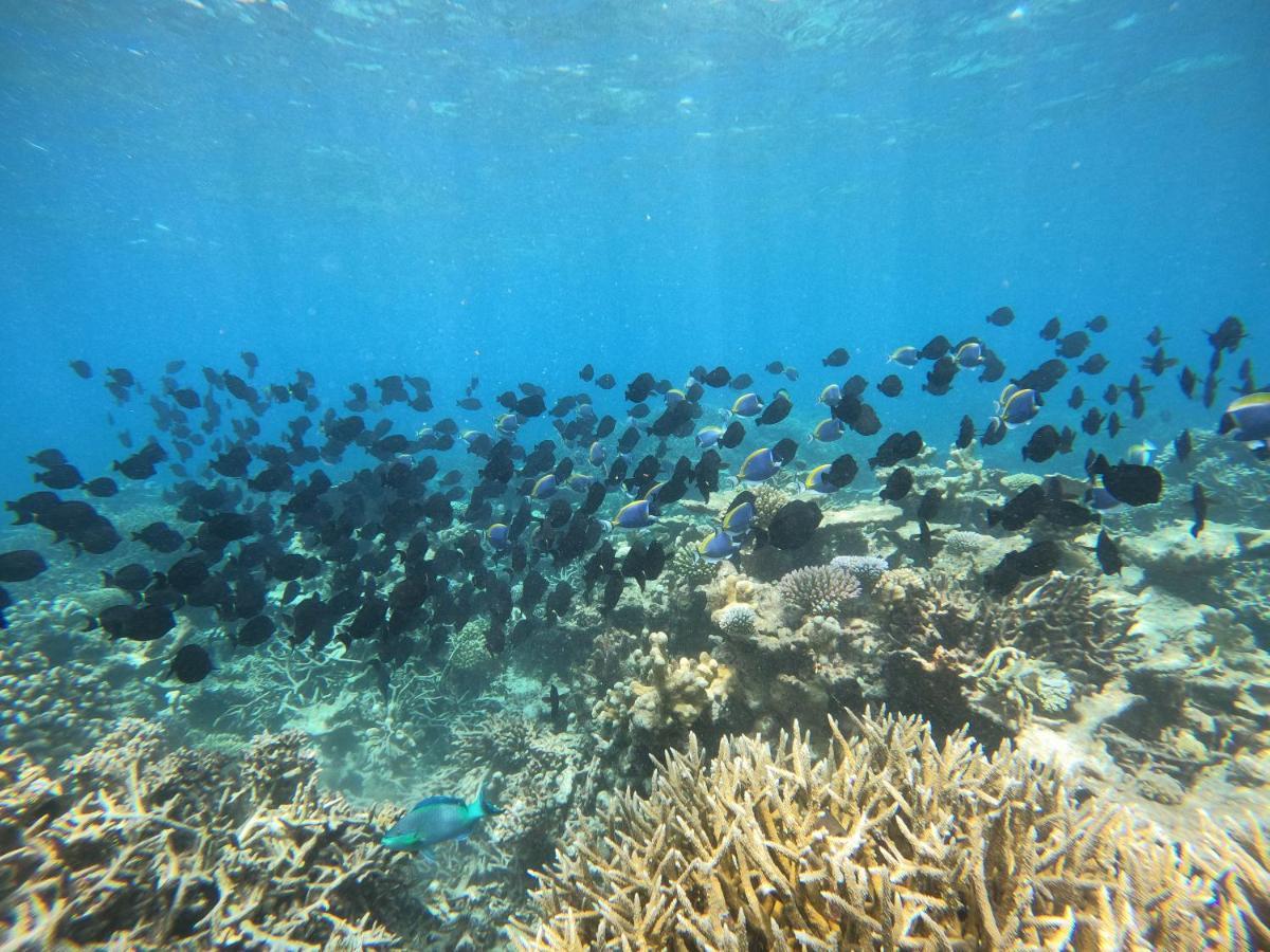 Hangnaameedhoo Coral Beach Maldives מראה חיצוני תמונה